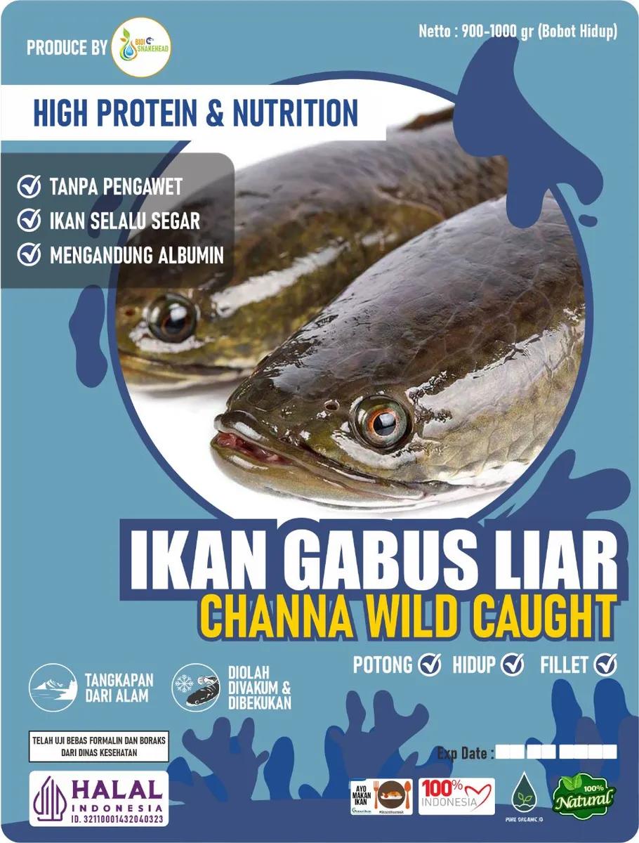 Gabus Fillet 500 gram
