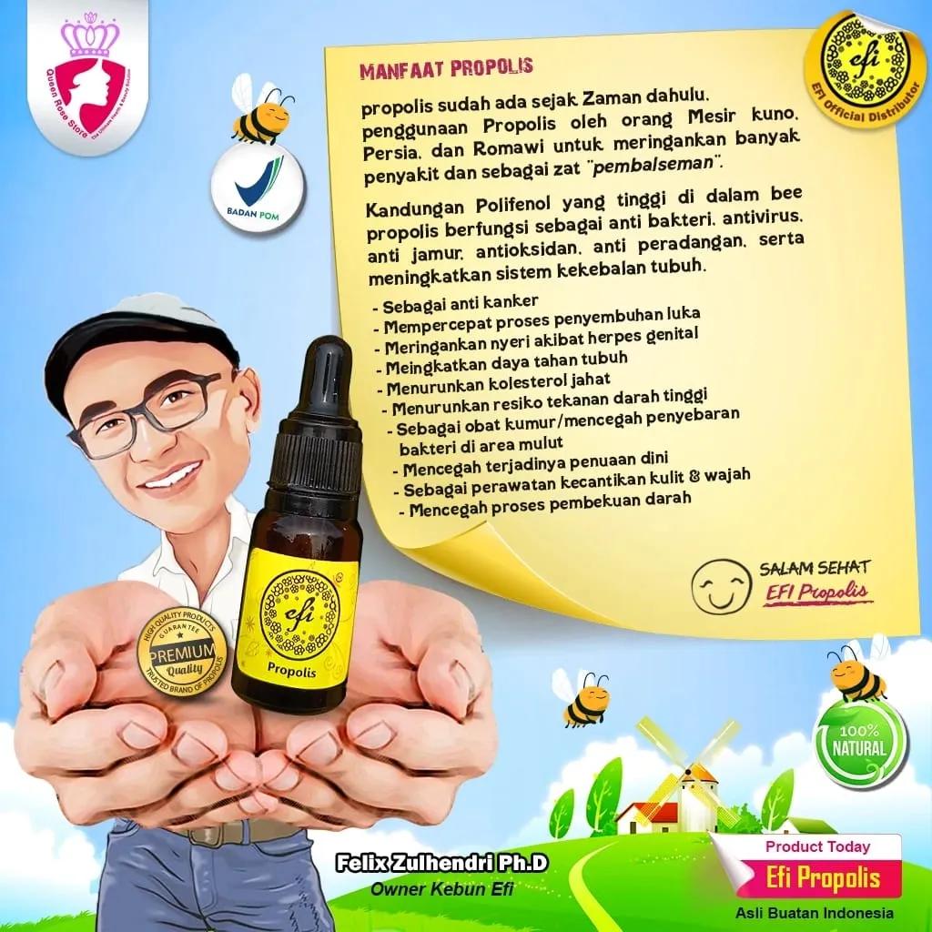 Propolis Efi foto 3